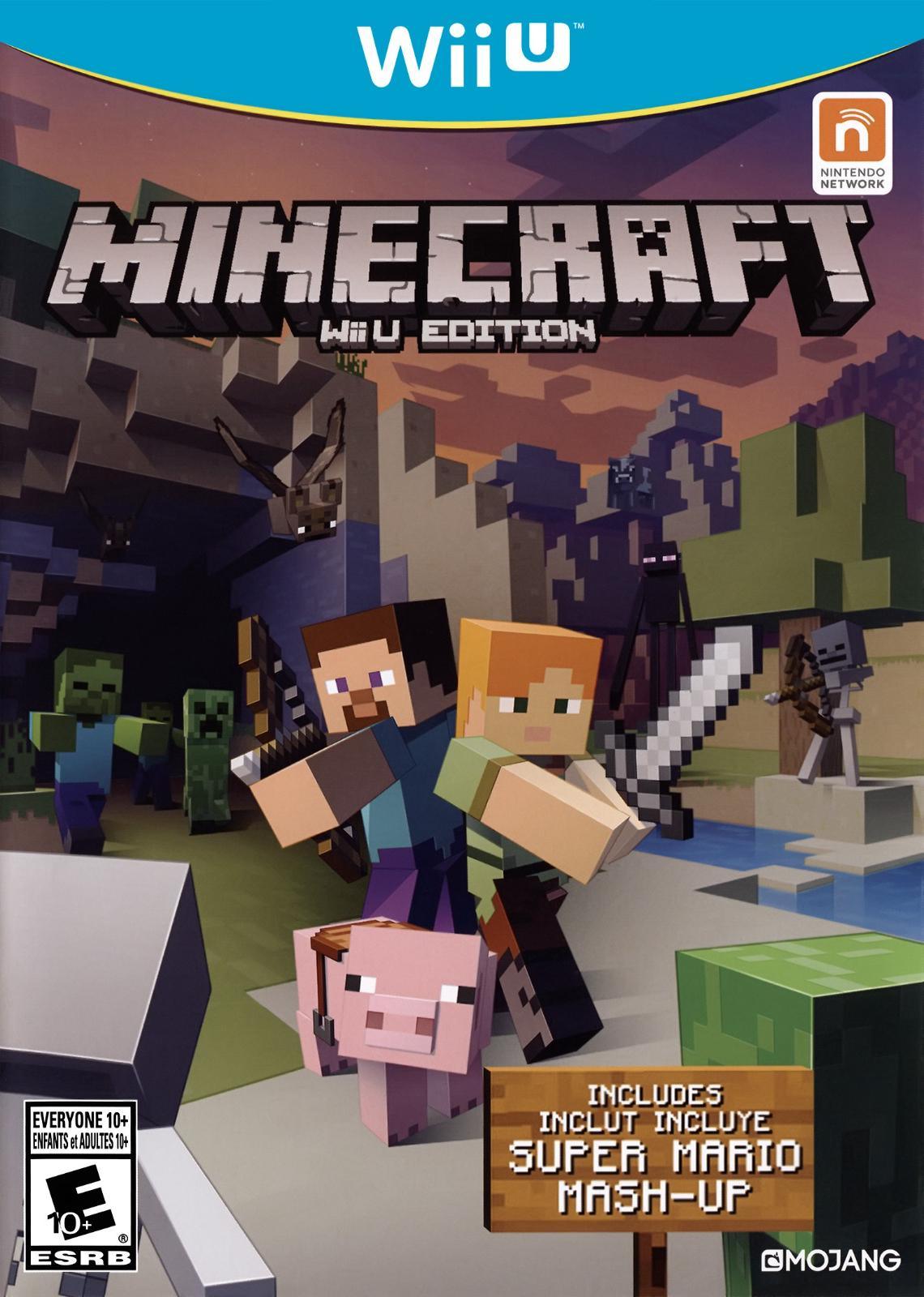 minecraft WiiU Edition