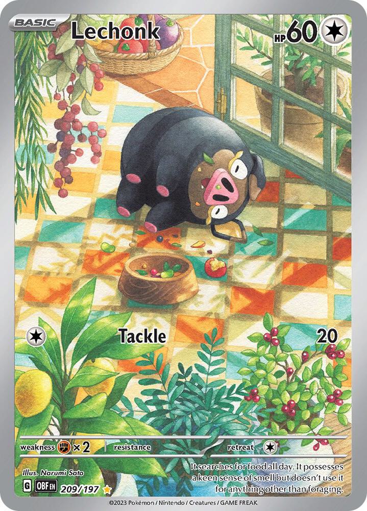 The Lechonk (209/197) Pokémon card from the Scarlet & Violet: Obsidian Flames series shows an Illustration Rare of Lechonk on a tiled floor surrounded by colorful fruit, plants, and a sunlit window. This card has 60 HP, features 