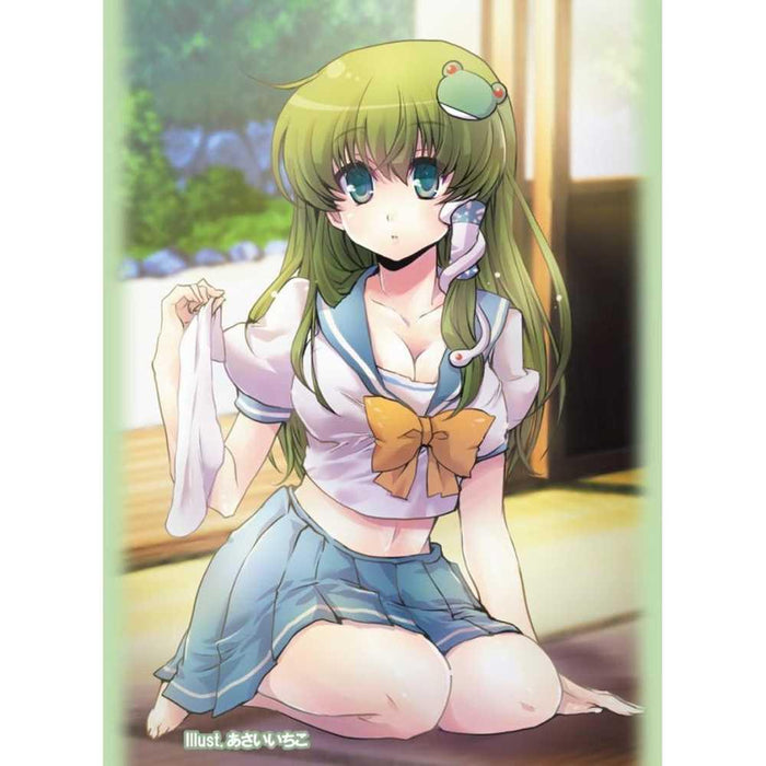 Touhou Project Vol.41 Standard Sleeves