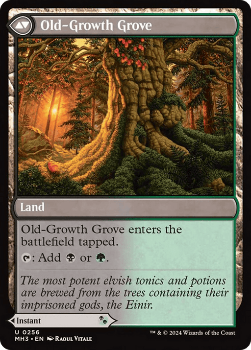 A Magic: The Gathering card from Modern Horizons 3, Revitalizing Repast // Old-Growth Grove [Modern Horizons 3], is a Land that enters the battlefield tapped and produces either black or green mana. The illustration features an ancient tree with mystical carvings, glowing symbols, and dense forest. Text reads: "The most potent elvish tonics and potions are brewed from the trees containing their imprisoned gods, the Einir.