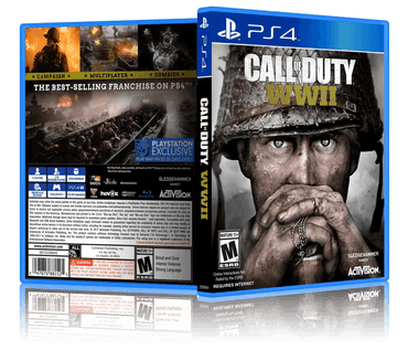 Call Of Duty WWII (PS4)