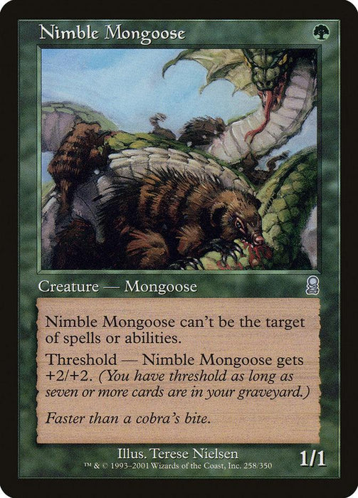 A Magic: The Gathering card titled "Nimble Mongoose [Odyssey]" featuring artwork of a mongoose battling a snake. The green card boasts Shroud, meaning it can't be targeted by spells or abilities, and gains power with Threshold—growing stronger as more cards land in the graveyard. This creature starts at 1/1.
