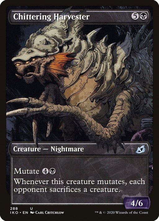 A "Magic: The Gathering" card titled Chittering Harvester (Showcase) [Ikoria: Lair of Behemoths] from Magic: The Gathering. This Creature — Nightmare features a monstrous, insect-like form with menacing sharp teeth and multiple limbs. With a mutate cost, it reads, "Whenever this creature mutates, each opponent sacrifices a creature." The card's power and toughness are 4/6.