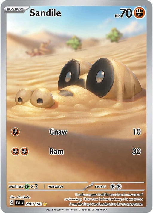 A Pokémon Sandile (216/198) [Scarlet & Violet: Base Set] card from the Pokémon series features Sandile, a small crocodile-like creature camouflaged in sandy terrain. Only its eyes and snout are visible. The card details include 70 HP, attacks "Gnaw" (10) and "Ram" (30), Grass-type weakness, no resistance, and a retreat cost of one. Card number 216/198.