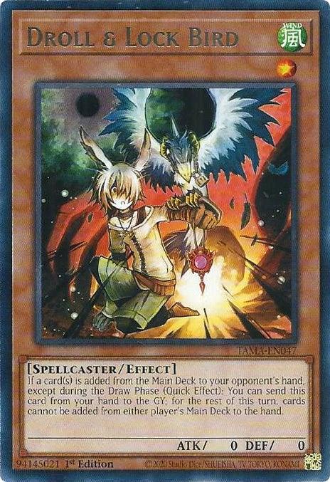 A Yu-Gi-Oh! trading card titled Droll & Lock Bird [TAMA-EN047] Rare with the attribute of Wind. It shows a small, elf-like creature holding a book, and a mystical bird with green and blue plumage hovering behind. This Rare Spellcaster/Effect Monster has 0 ATK and 0 DEF and boasts card text describing its tactical effect.