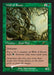 A Magic: The Gathering card titled "Wall of Roots [30th Anniversary Promos]" from the Magic: The Gathering. This Rare card features green borders with an illustration of a dense, twisting wall of tree roots. Costing one green and one generic mana, it has defender ability, zero attack, five toughness, and can generate green mana at the cost of a counter.