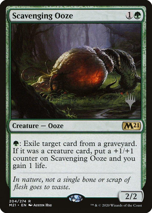 The "Scavenging Ooze (Promo Pack) [Core Set 2021 Promos]," a Rare Magic: The Gathering card from Magic: The Gathering, costs 1 green and 1 generic mana to cast and has power and toughness 2/2. This Creature — Ooze can exile a card from a graveyard, gaining a +1/+1 counter and 1 life if it was a creature card. Illustrated by Austin