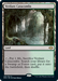 A Magic: The Gathering product titled "Verdant Catacombs [Modern Horizons 2]" from Magic: The Gathering. This Land card lets you pay 1 life and sacrifice it to search for a Swamp or Forest to put onto the battlefield. The artwork depicts a dark, overgrown, cavernous forest, with full details and artist credit on the card.