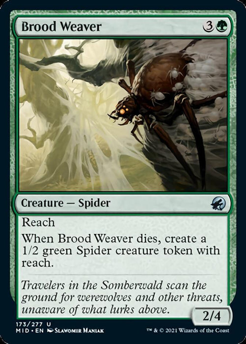 A Magic: The Gathering card titled "Brood Weaver [Innistrad: Midnight Hunt]." This Creature — Spider card features a large, brown and white spider on a web against a greenish background. With a mana cost of 3 and a forest symbol (green), it creates a green Spider creature token upon casting. Its stats are 2 attack and 4 defense.