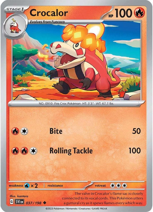A Pokémon Crocalor (037/198) [Scarlet & Violet: Base Set] trading card featuring Crocalor from the Scarlet & Violet series, a Fire-type Pokémon on an orange background. It has 100 HP, and its moves are Bite (50 damage) and Rolling Tackle (100 damage). Crocalor is depicted standing on rocky terrain with flames on its head. The card includes a graphic on a gray and orange frame with stats and abilities, classifying