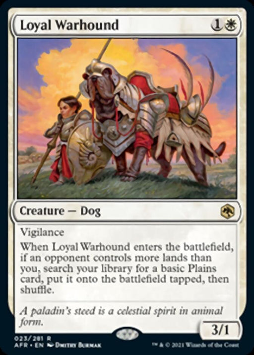 A Magic: The Gathering card titled "Loyal Warhound [Dungeons & Dragons: Adventures in the Forgotten Realms]" from the Adventures in the Forgotten Realms set. The artwork depicts a large armored dog with a warrior riding on its back, holding a spear and shield. The white card requires one white and one colorless mana and has Vigilance with 3 power and 1 toughness.