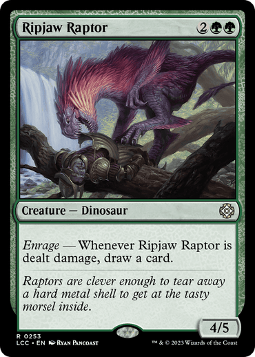 The Rare Magic: The Gathering card "Ripjaw Raptor [The Lost Caverns of Ixalan Commander]" showcases a fearsome purple and red Dinosaur with spiny back ridges attacking a metallic figure. It boasts a base power and toughness of 4/5 and the text, "Enrage — Whenever Ripjaw Raptor is dealt damage, draw a card," accompanied by flavor text below.