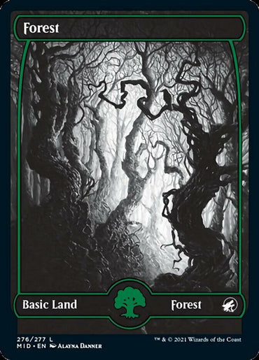 A Magic: The Gathering card titled "Forest (276) [Innistrad: Midnight Hunt]". The card art depicts a dark, eerie forest with gnarled, leafless trees and a misty atmosphere. The border is black and green, featuring a green tree symbol at the bottom center. It is labeled "Basic Land — Forest" and illustrated by Alayna Danner.