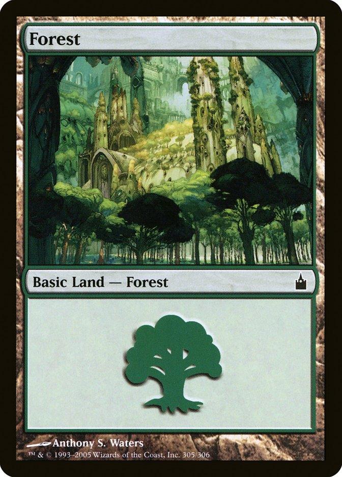 The "Magic: The Gathering" card titled "Forest (305) [Ravnica: City of Guilds]" is depicted. The main image shows an enchanted forest from the world of Ravnica: City of Guilds, with tall, ornate, and mystical trees bathed in sunlight. The bottom half of the card has a green tree symbol, denoting it as a basic land card. The artist is credited as Anthony S. Waters.