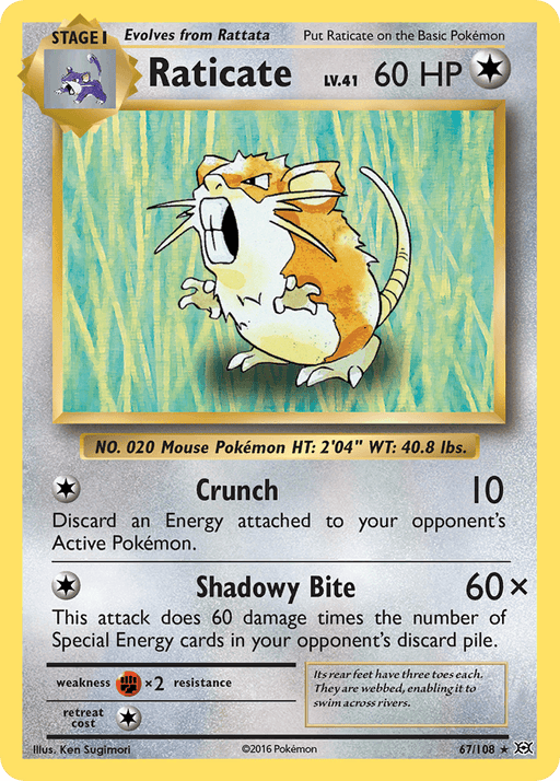 A Rare Raticate (67/108) [XY: Evolutions] Pokémon card from the Pokémon set. Raticate is illustrated standing on two legs with an aggressive expression, whiskers prominent, and sharp teeth visible. The Colorless card has 60 HP and features two attacks: "Crunch" and "Shadowy Bite". The bottom displays its weight, length, and other standard information.