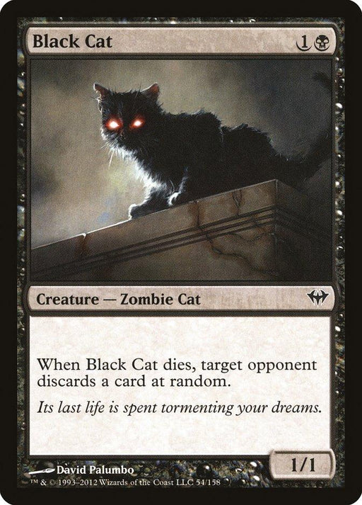 A Magic: The Gathering card from the Dark Ascension set titled "Black Cat [Dark Ascension]." This eerie Zombie Cat, with glowing red eyes, perches on a stone ledge. Bordered in black, the card details its abilities and effects in the game. It is a 1/1 creature with a haunting presence.