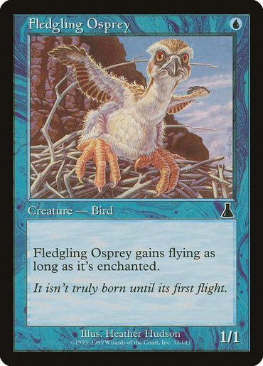 The "Fledgling Osprey [Urza's Destiny]" Magic: The Gathering card showcases a young osprey bird perched in a nest with a determined expression. The text on the card reads, "Fledgling Osprey gains flying as long as it's enchanted. It isn't truly born until its first flight." It has a power/toughness rating of 1/1 and features an illustration by .