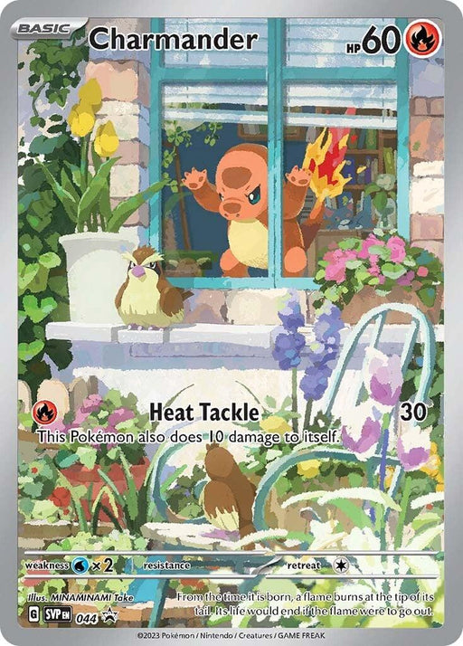 A Pokémon card featuring Charmander with 60 HP. This Fire Type stands inside a house, waving through an open window surrounded by plants and flowers. Two bird Pokémon perch on a wooden box outside. The card lists "Heat Tackle" as an attack, causing 30 damage, and has a star symbol at the bottom right. The product name is Charmander (044) (Pokemon Center Exclusive) [Scarlet & Violet: Black Star Promos] from Pokémon.