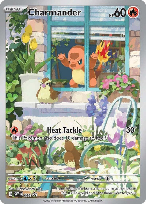 A Pokémon Charmander (044) [Scarlet & Violet: Black Star Promos] trading card featuring Charmander with 60 HP standing on a window ledge surrounded by plants and flowers. Text below reads "Heat Tackle," which does 30 damage and causes 10 damage to itself. Weakness is water (x2). Two Pidgey are on the ground in front of the window.