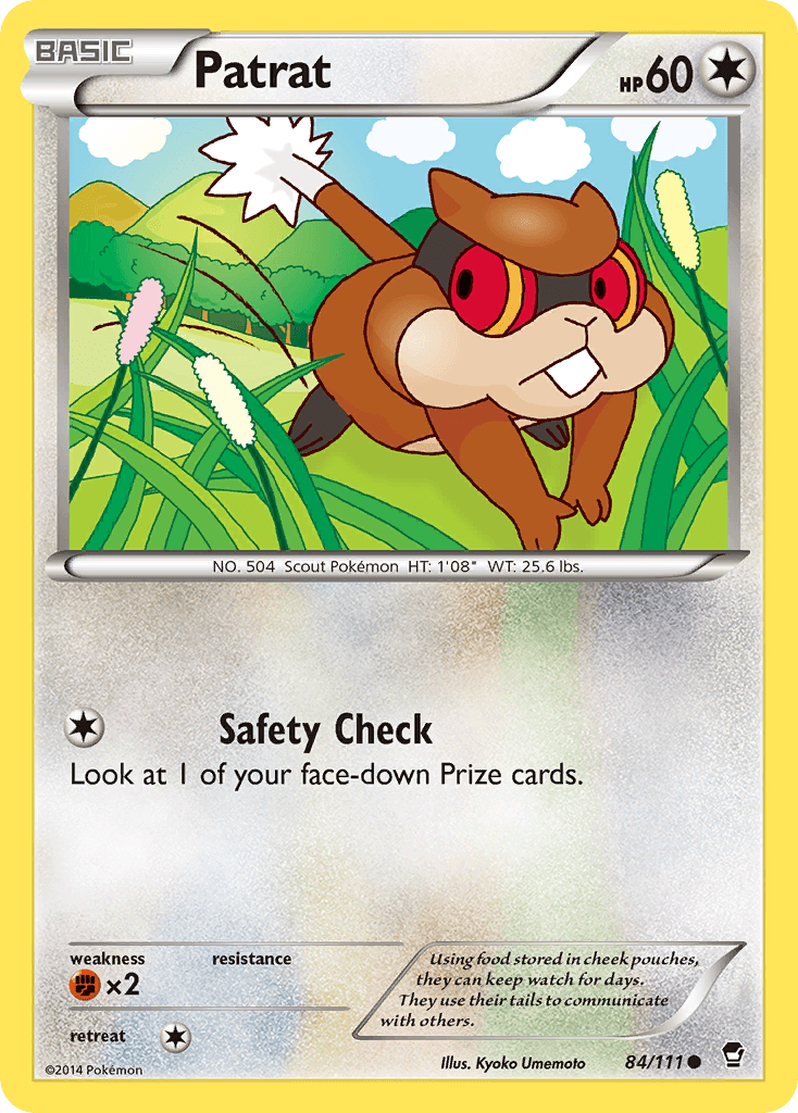 A Pokémon card featuring Patrat, a brown rodent-like creature with large eyes and a striped tail, standing in a field of tall grass and flowers. This Common card shows Patrat's details: HP 60, Basic type, from XY: Furious Fists, number 504, height 1'08