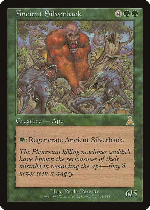 A Magic: The Gathering trading card from Urza's Destiny, "Ancient Silverback [Urza's Destiny]", depicts a fierce Creature — Ape in a forest, attacking mechanical creatures. The card text reads: "Regenerate Ancient Silverback [Urza's Destiny]. The Phyrexian killing machines couldn't have known the seriousness of their mistake in wounding the ape—they'd never seen it angry." Illustrated by Paolo Parente, the card
