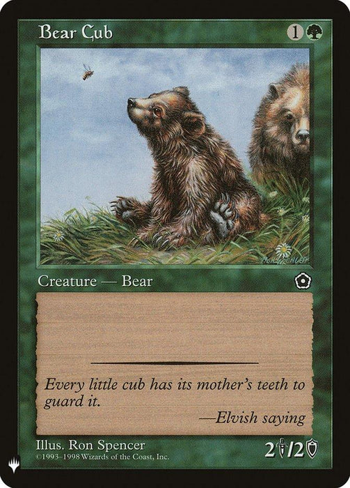 The image is a Magic: The Gathering card titled "Bear Cub [Mystery Booster]." The artwork depicts two bear cubs in a forest. One cub sits gazing at a bee, while the other lingers in the background. The card text reads, "Every little cub has its mother's teeth to guard it. —Elvish saying," and it has a power/toughness of 2/2.