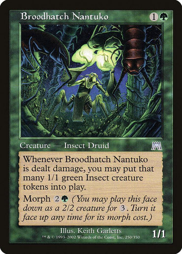 The Magic: The Gathering card "Broodhatch Nantuko [Onslaught]" features artwork of a green Insect Druid with glowing red eyes. The card has a green border and its cost is listed as 1 green mana and 1 generic mana. It details abilities that include summoning green Insect creature tokens and morphing.