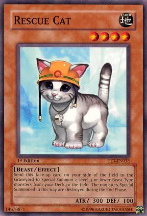 Sure! Here is the revised sentence:

Yu-Gi-Oh! trading card featuring "Rescue Cat [FET-EN033] Common," a Beast-Type Effect Monster. The card shows a small gray and white kitten wearing an orange rescue helmet with a green cross, standing on a blue and white gradient background. This special summon monster boasts 300 attack points and 100 defense points.