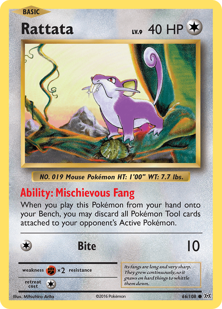 Rattata (66/108) [XY: Evolutions]