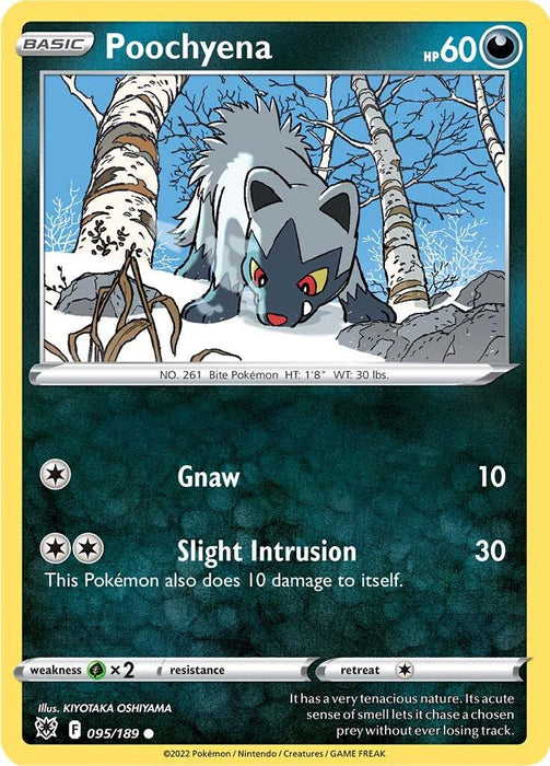 The Poochyena (095/189) from the Pokémon Sword & Shield: Astral Radiance series is a trading card that showcases an illustration of Poochyena crouching with a determined expression in a snowy forest. This Basic Pokémon card has 60 HP and features two moves: Gnaw, which deals 10 damage, and Slight Intrusion, which inflicts 30 damage to the opponent's Pokémon and 10 damage to itself.