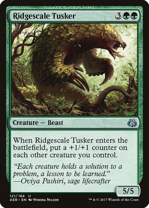 A Magic: The Gathering product from Aether Revolt titled "Ridgescale Tusker [Aether Revolt]" depicts a large, green tusked beast roaring in a lush forest. Below the image, the text reads: "When Ridgescale Tusker enters the battlefield, put a +1/+1 counter on each other creature you control." The card's stats are 5/5.