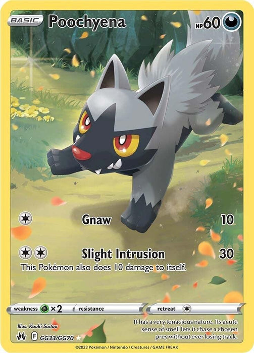 A Poochyena (GG33/GG70) [Sword & Shield: Crown Zenith] card from the Pokémon set featuring Holo Rare artwork. It has 60 HP and is Dark type, depicted in a forest setting. It has two attacks: "Gnaw" (10 damage) and "Slight Intrusion" (30 damage but injures Poochyena). Weak to Grass with no resistance symbols.