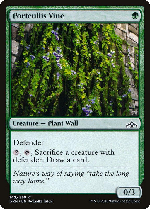 A Magic: The Gathering card from Guilds of Ravnica, Portcullis Vine [Guilds of Ravnica], depicts a green wall covered in vines and purple flowers. This green Creature Plant Wall has a cost of one green mana, 0 power, 3 toughness, and defender abilities. Flavor text reads, "Nature's way of saying 'take the long way home.'