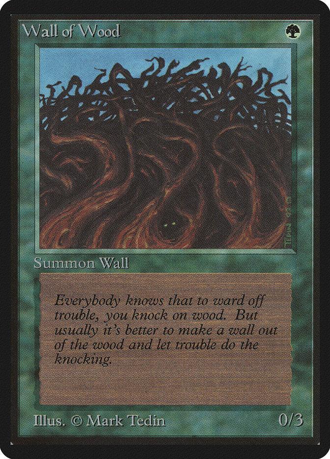 A Magic: The Gathering card named 