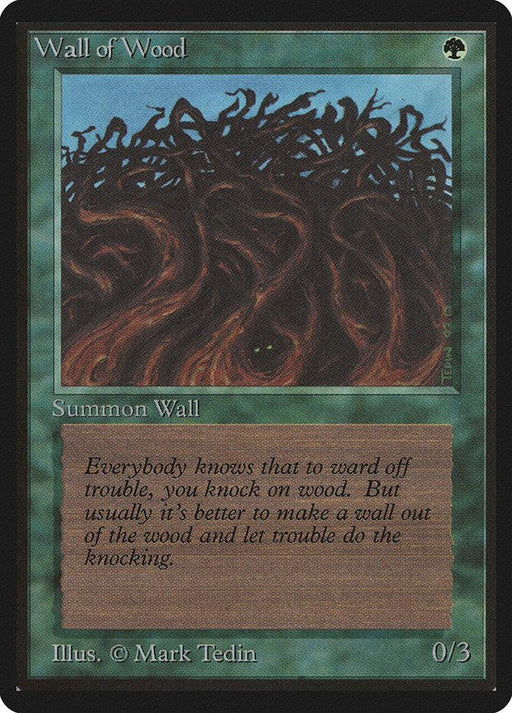 A Magic: The Gathering card named "Wall of Wood [Beta Edition]," a Beta Edition Creature Wall, depicts tangled, dark wooden roots forming a steadfast barrier. The text reads, "Everybody knows that to ward off trouble, you knock on wood. But usually it's better to make a wall out of the wood and let trouble do the knocking." With its black border and Mark Tedin's artistry, this Defender has